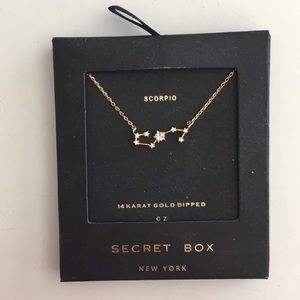Scorpio necklace